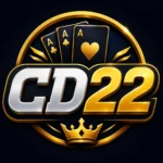 CD22 Game
