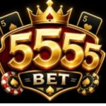 5555 game