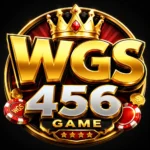 WGS456 Game